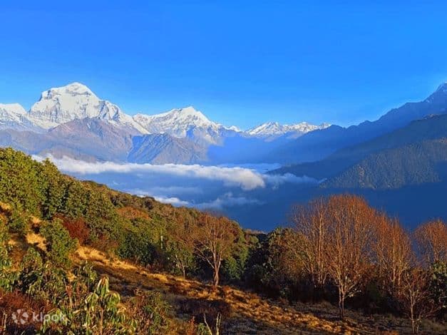 Kori Hill Trek - Upto 10% Off - Book Now!