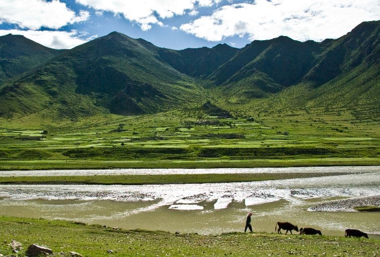 Trekking in Tibet: Best Routes and Tips for Trekkers