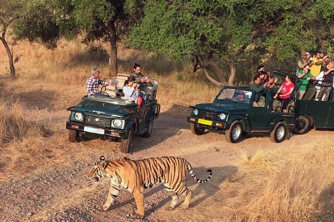 Ranthambore with Golden Triangle Tour India