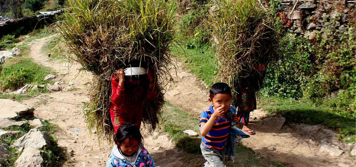 COVID - 19 and Tourism in Nepal