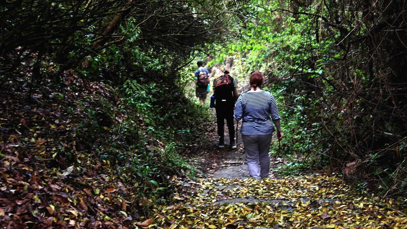 Sundarijal Chisapani Nagarkot Hike