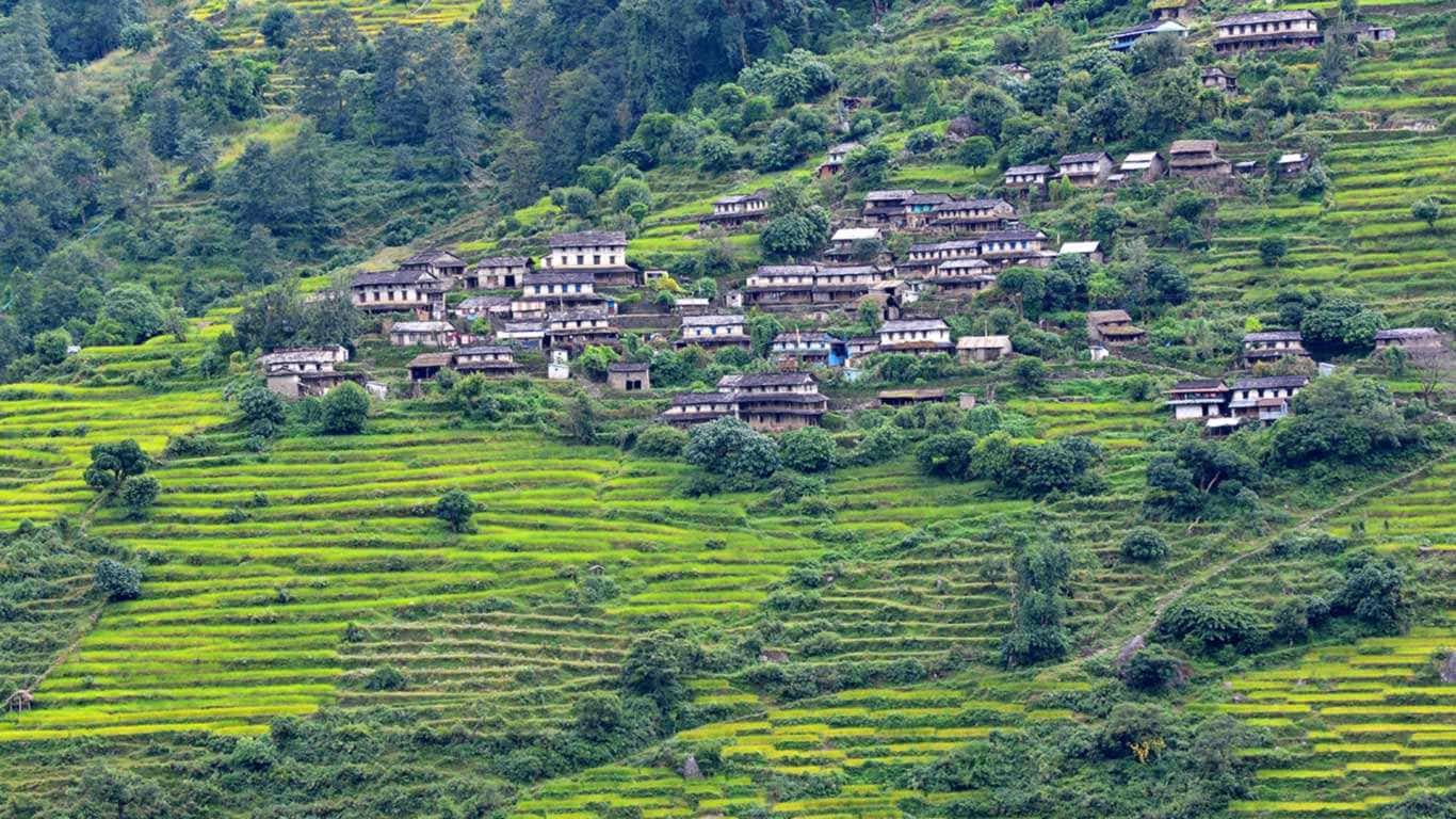 Annapurna Base Camp 8 Days Trek