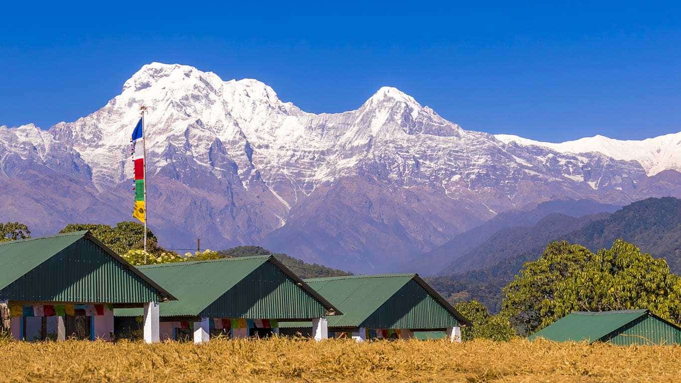 Annapurna Short Trek Dhampus & Pothana