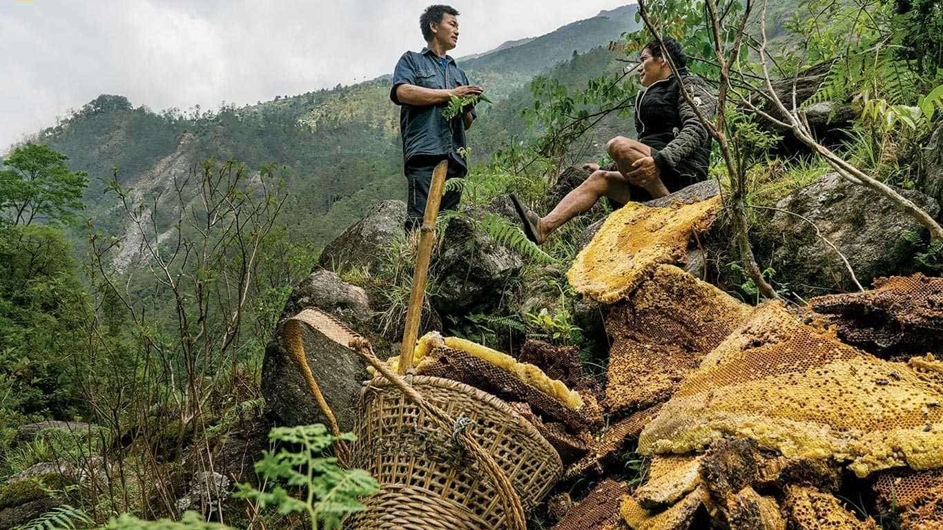 Honey Hunting Tour in Nepal