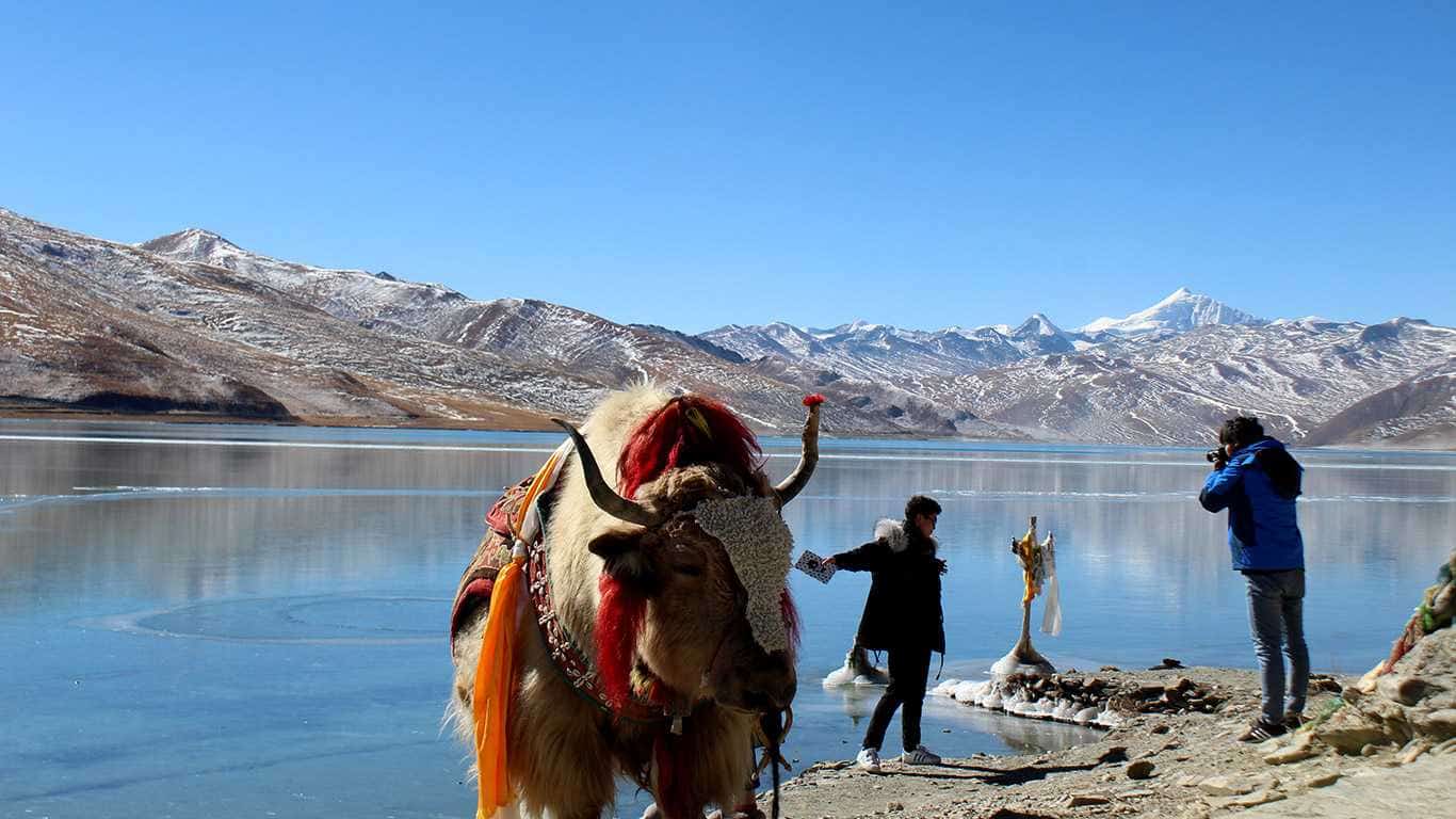 Nepal Tibet Overland Tour (Drive in - Drive out)