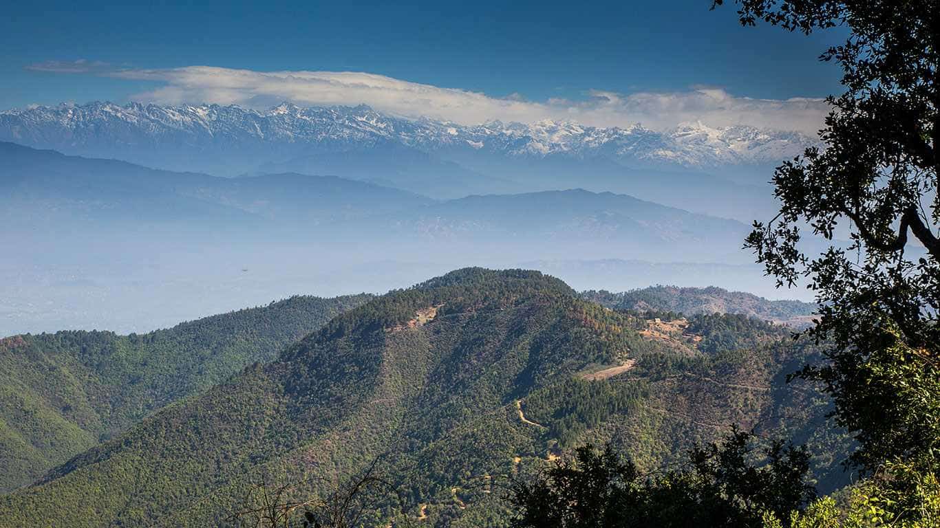 Phulchoki Day Hike